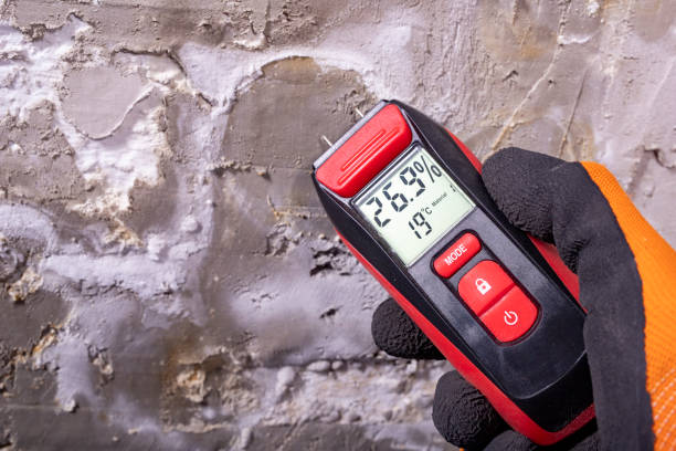 Crawl Space Mold Removal in Milford, OH